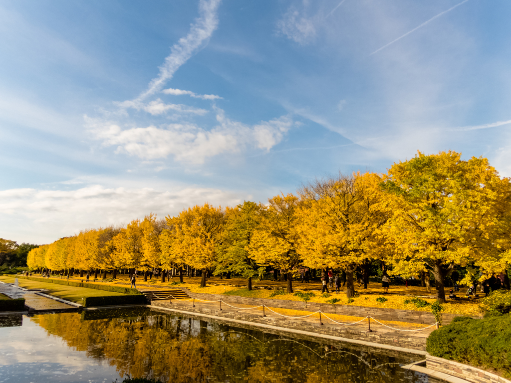 国営昭和記念公園　紅葉　①