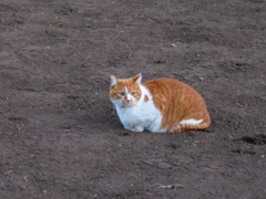 畑の中央で・・