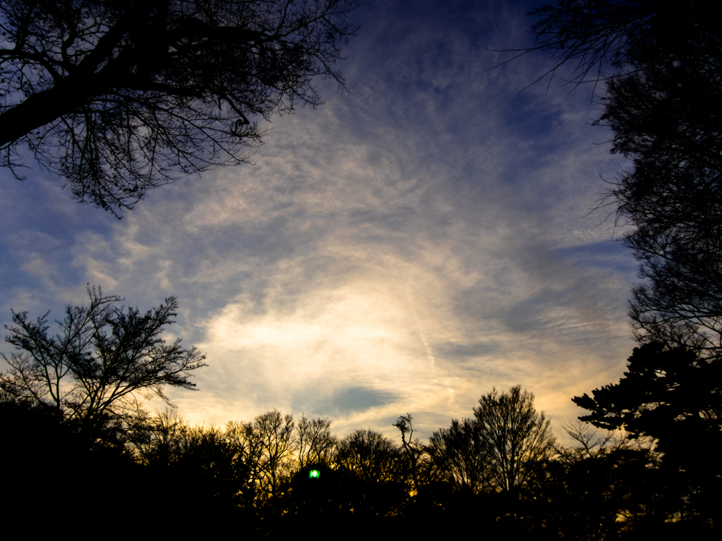 見上げる空