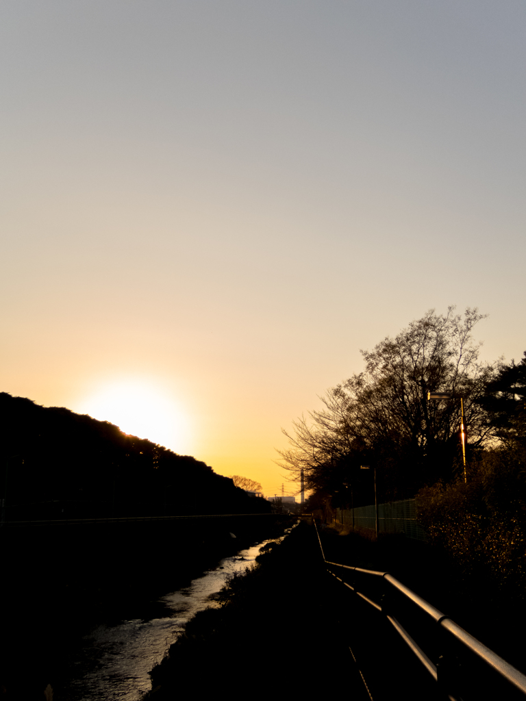 ぼ～、と夕日を