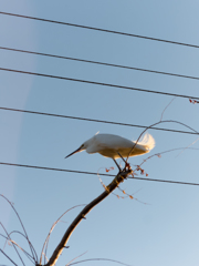 近いね・・・