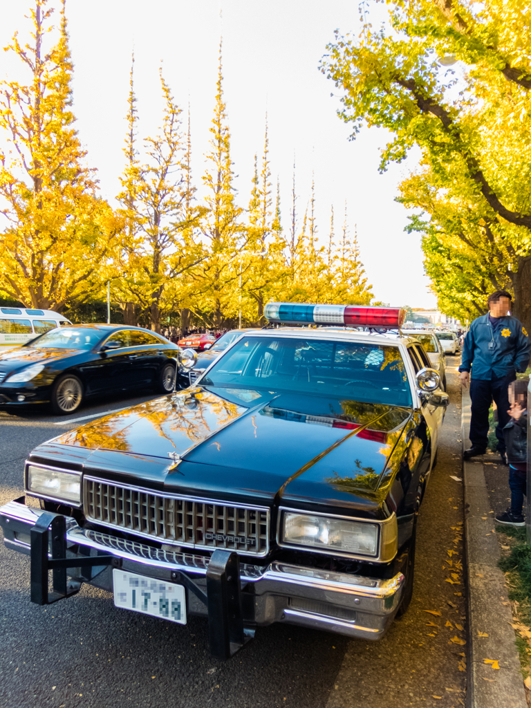 いちょう並木で出会ったパトカー