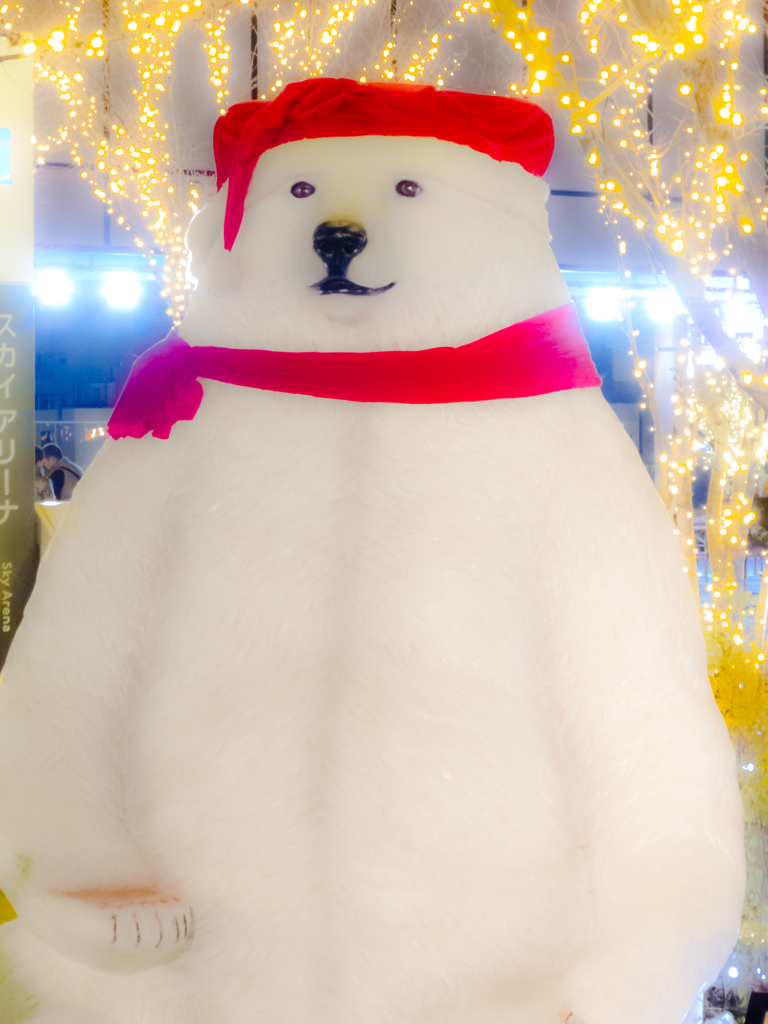 「スカイアリーナ」にいるクマさん！！