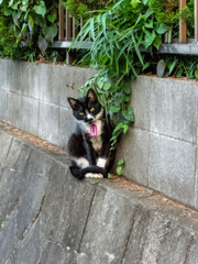 何でしょうか・・・