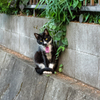 何でしょうか・・・