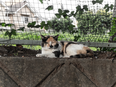 ウインク