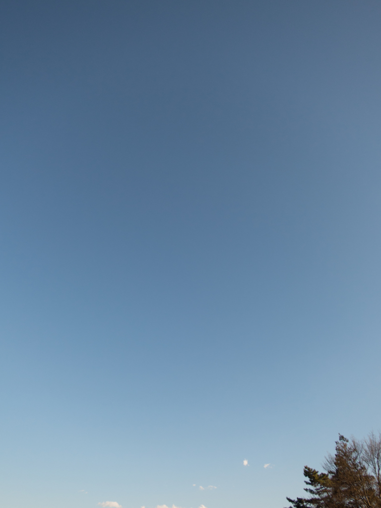 天気の良い１日・・