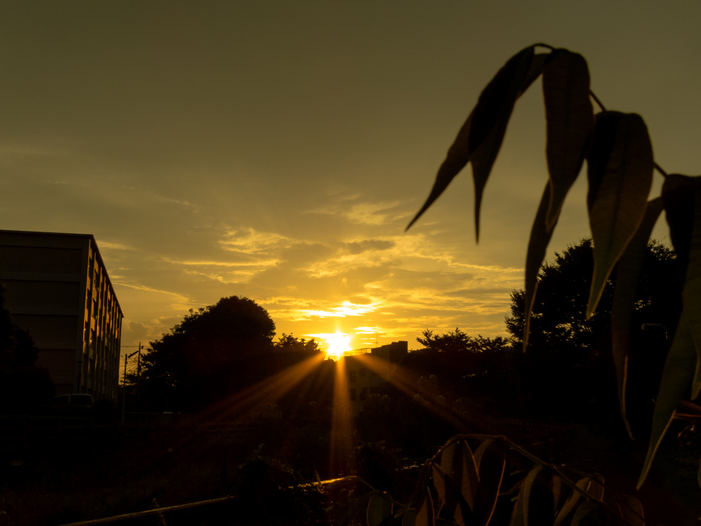 夕焼け空