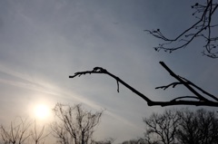 冬も終わりに近づいてきてるのかなー