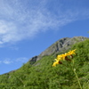 北岳　登山道