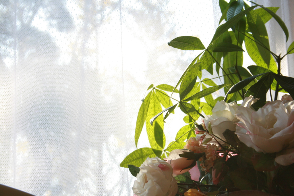 Translucent