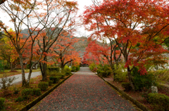 寺