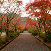 寺