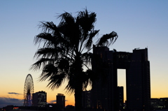 東京 夕景