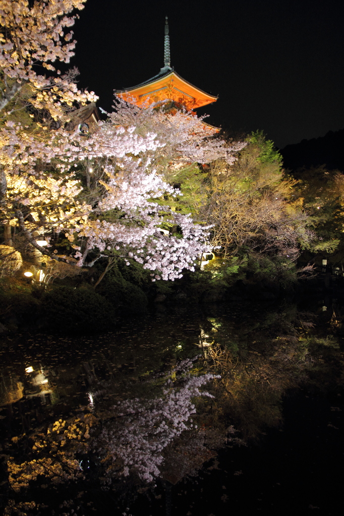 京都 鏡面