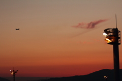 飛行機と夕景