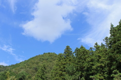 夏山