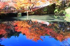 水面鏡 