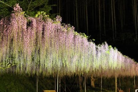 幻想的な世界