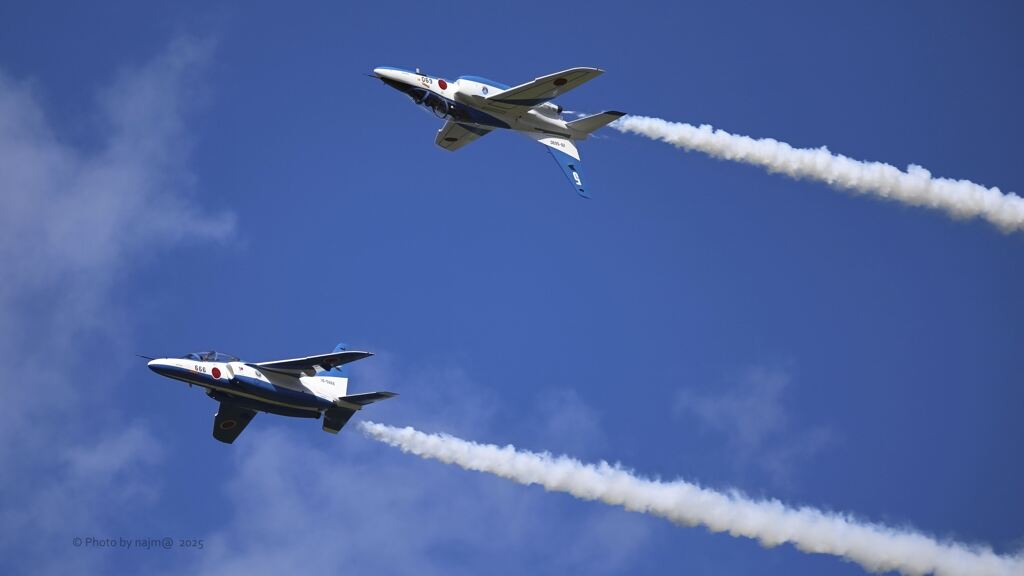 T-4_Blue__7454