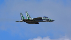 F-15_AGR_1358