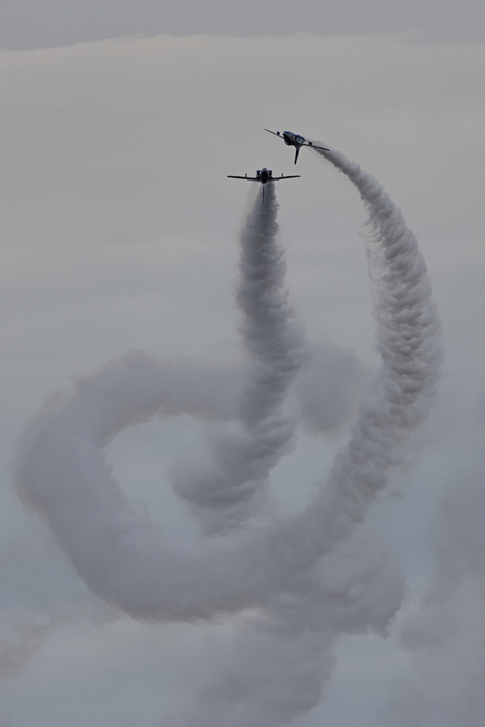 T-4_Blue Impulse_1555