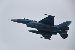 F-2B_3SQ_4398