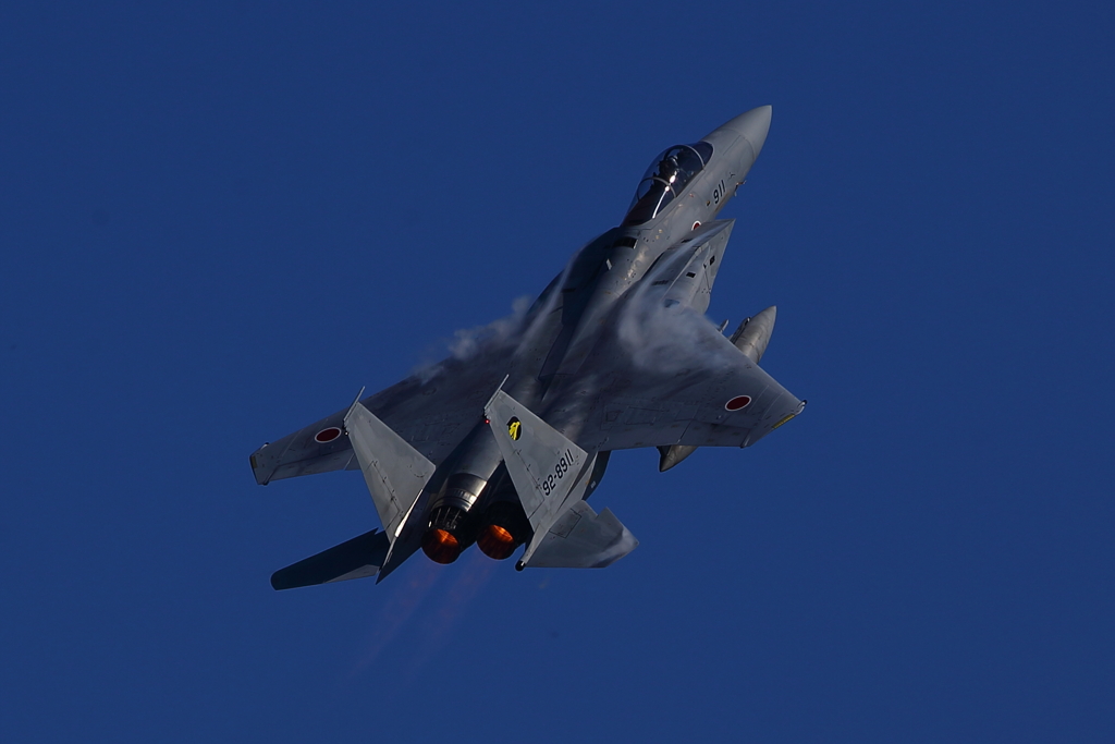 F-15J_306SQ_9693
