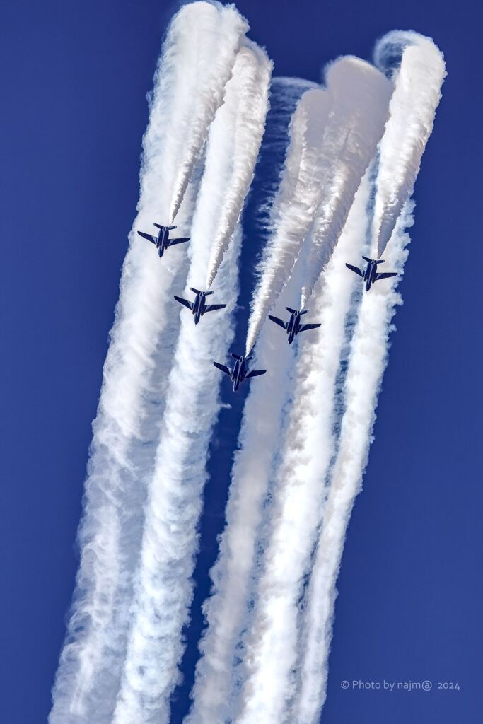 T-4_Blue_2619