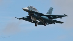 F-2B_3SQ_5409