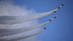 T-4_Blue_8273