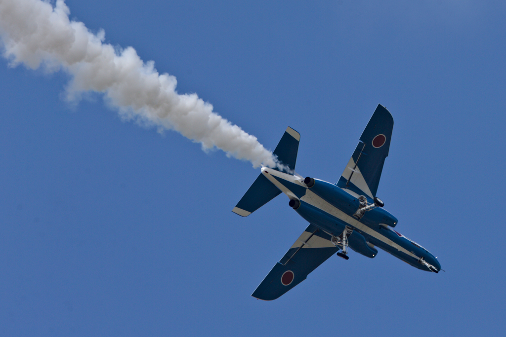 T-4_BL_6213