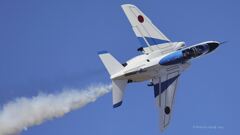 T-4_Blue_1013