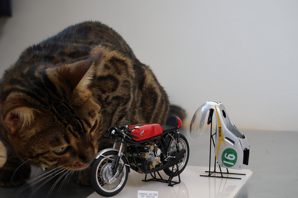 FOCUS_BKT_TEST_6470 by najm （ID：11297769） 写真共有サイトPHOTOHITO