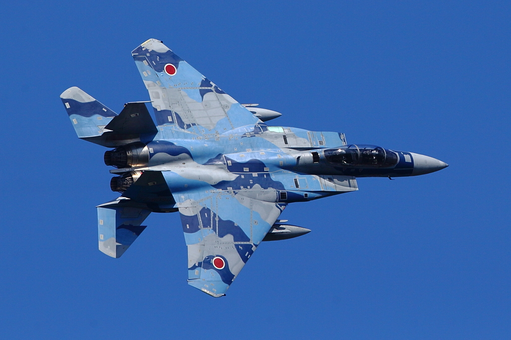 F-15DJ_AGR_4154