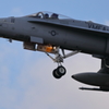 FA-18A_Homet_VMFA-112_6342