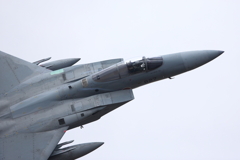 F-15J_303SQ_8537