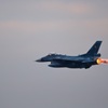 F-2A_6SQ_4719