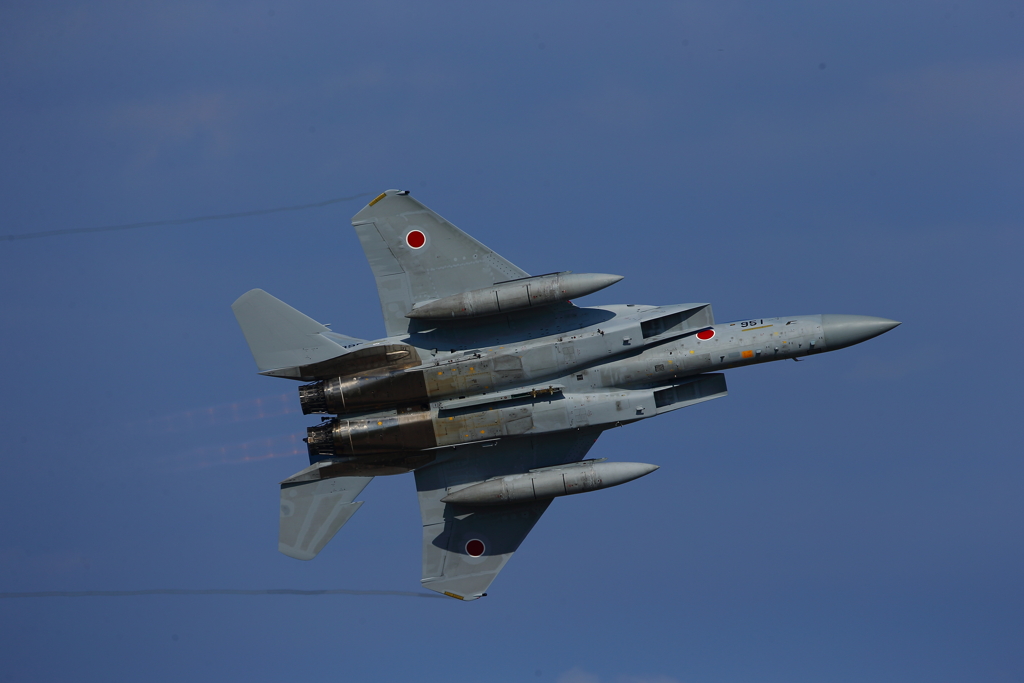 F-15J_9735