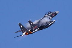 F-15DJ_AGR_4083
