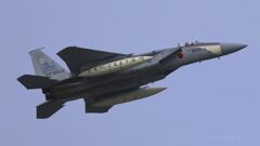 F-15J_303SQ_SPM_8162_01