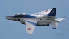 T-4_BL_5497