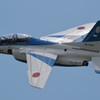 T-4_BL_5497