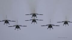 T-4_Blue_7405