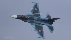 F-2_6SQ_SPM_1295