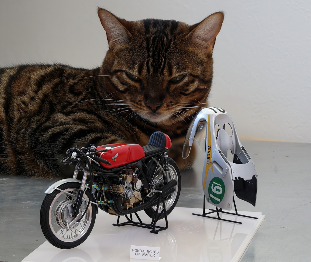 FOCUS_BKT_TEST_6239 by najm （ID：11297760） 写真共有サイトPHOTOHITO