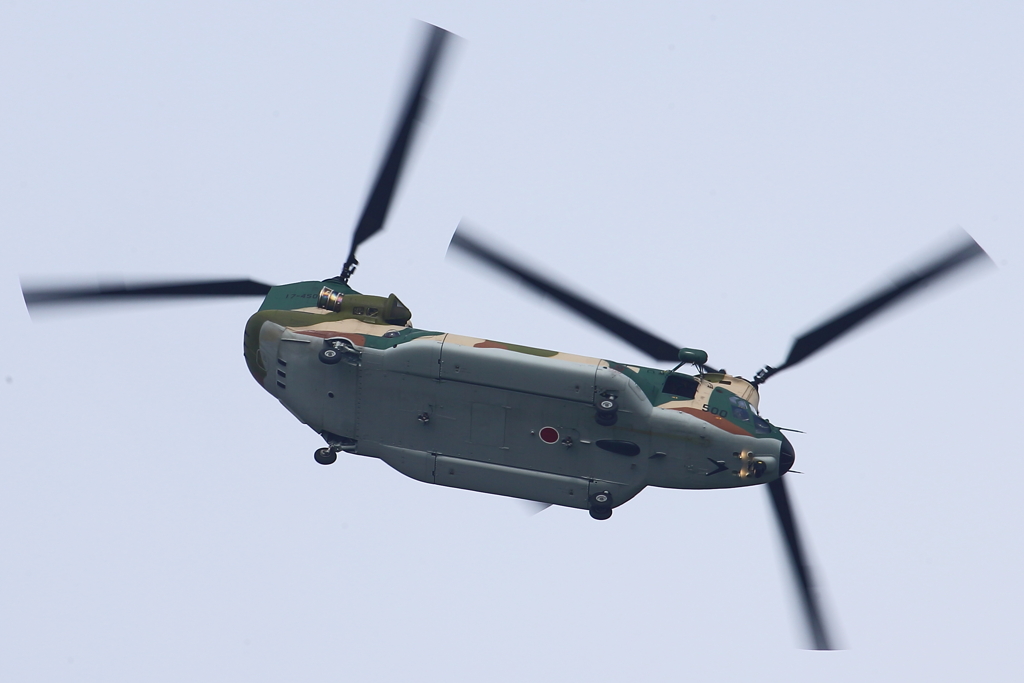 CH-47J_0035