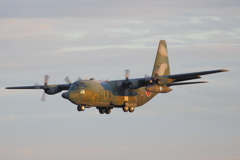 C-130 Hercules_4191