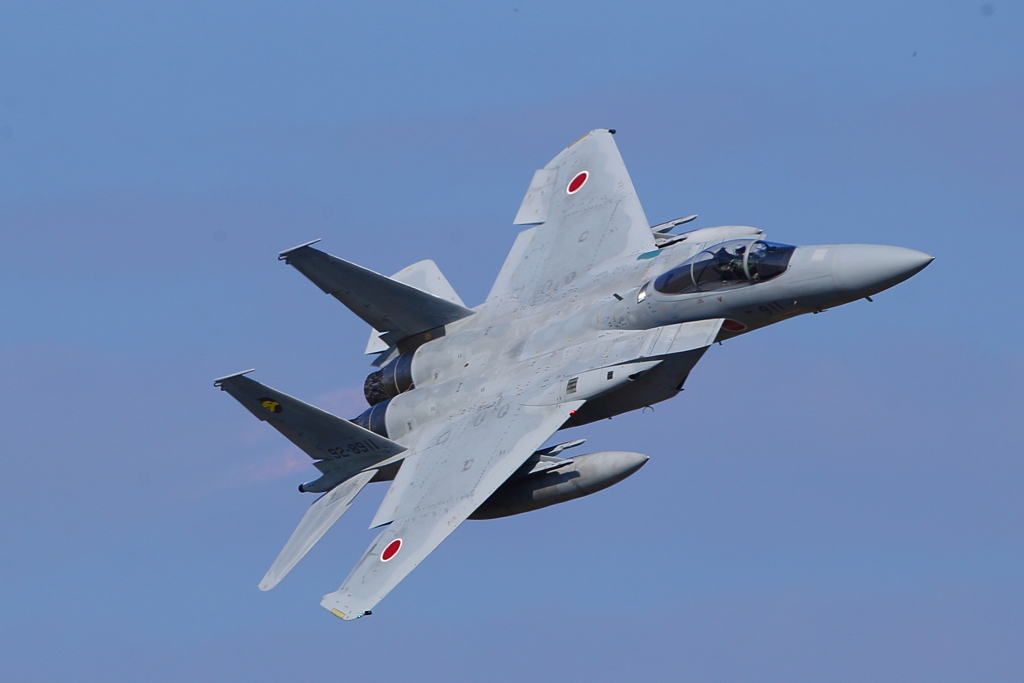 F-15J_306SQ_9648