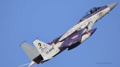 F-15J_306SQ_SPM_5923